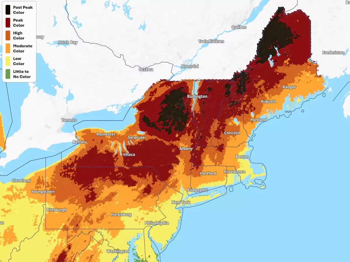 The foliage situation in the Northeast on 10/14/2023.